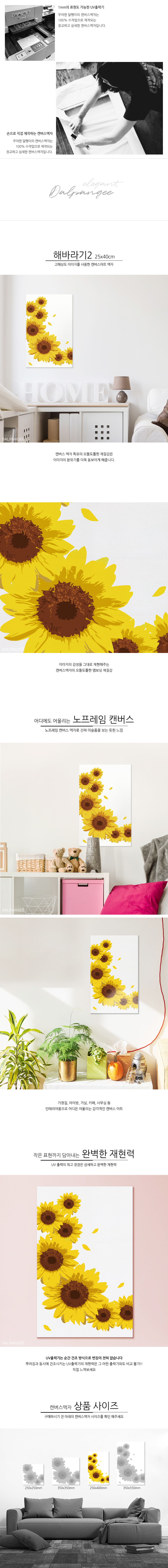 돈들어오는 그림 해바라기B 캔버스액자 25x40cm 액자 벽걸이액자 해바라기액자 인테리어 인테리어액자 인테리어소품 노랑해바라기액자 그림액자 디자인액자 노프레임액자
